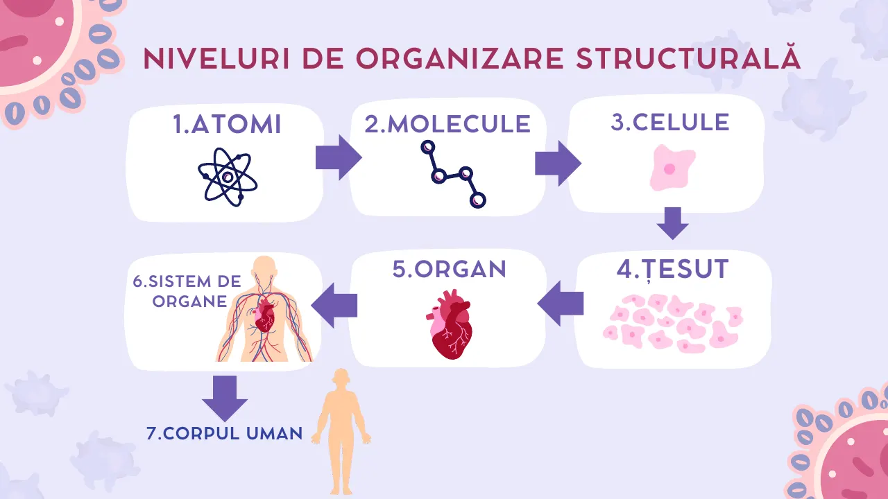 Slide 3 din capitolul 1