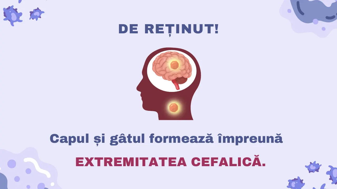 Slide 10 din capitolul 1