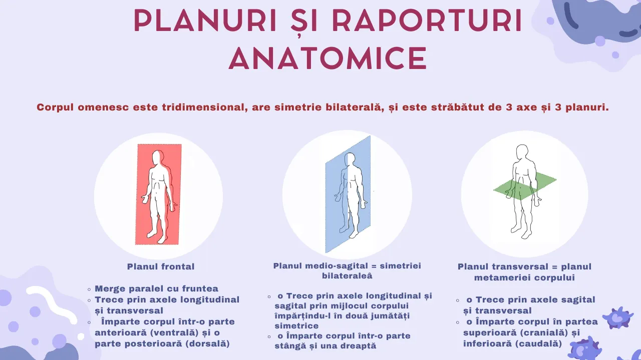 Slide 16 din capitolul 1