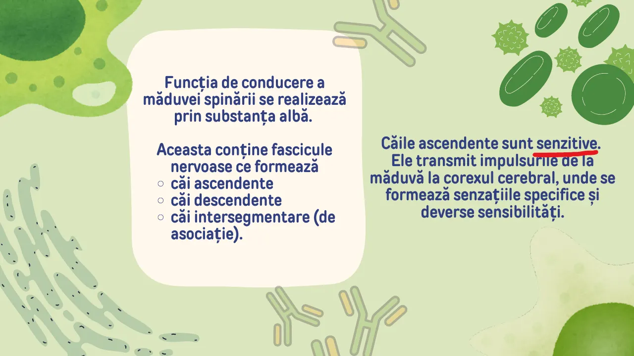 Slide 23 din capitolul 2