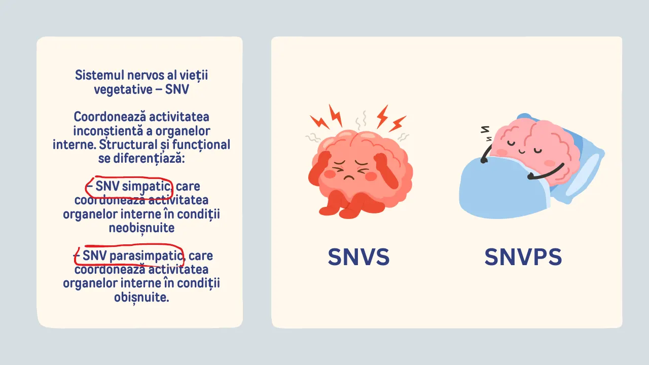 Slide 31 din capitolul 2