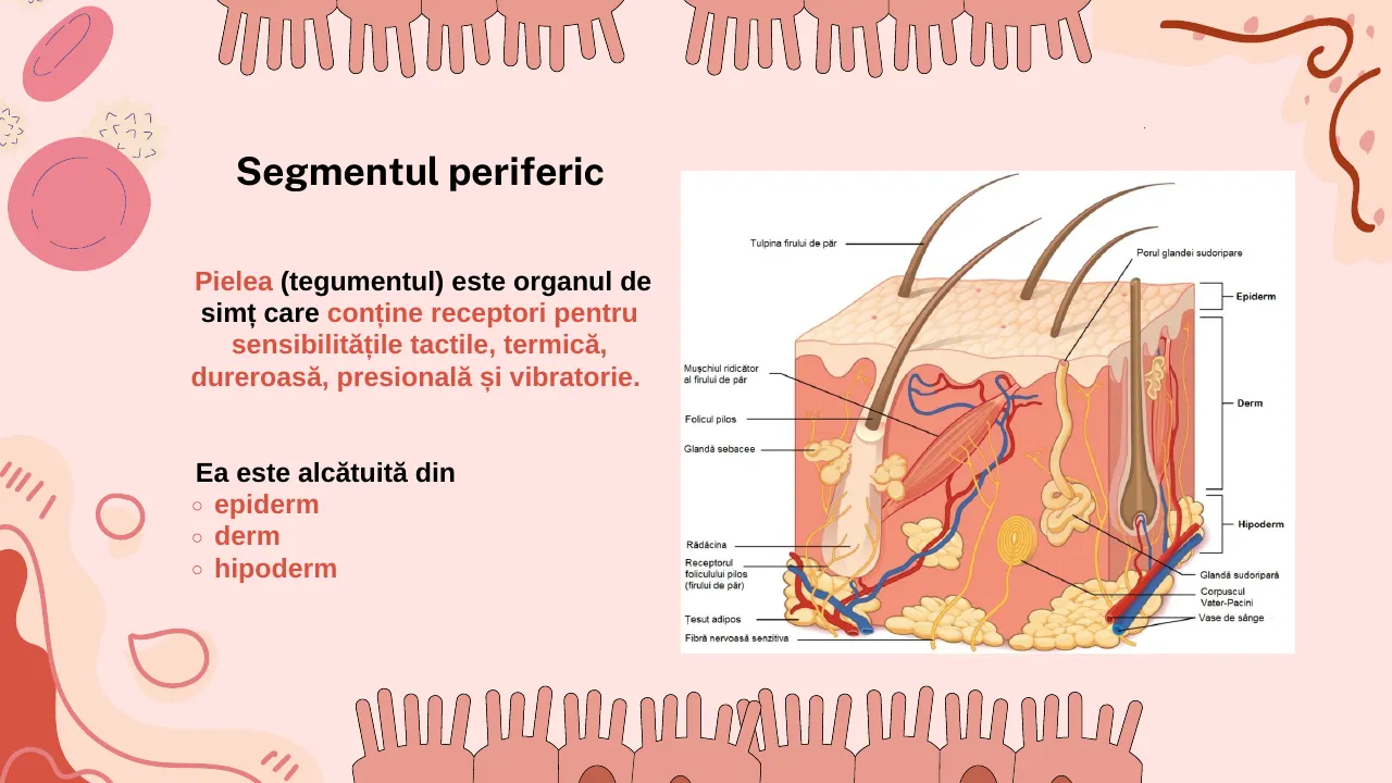 Slide 8 din capitolul 3