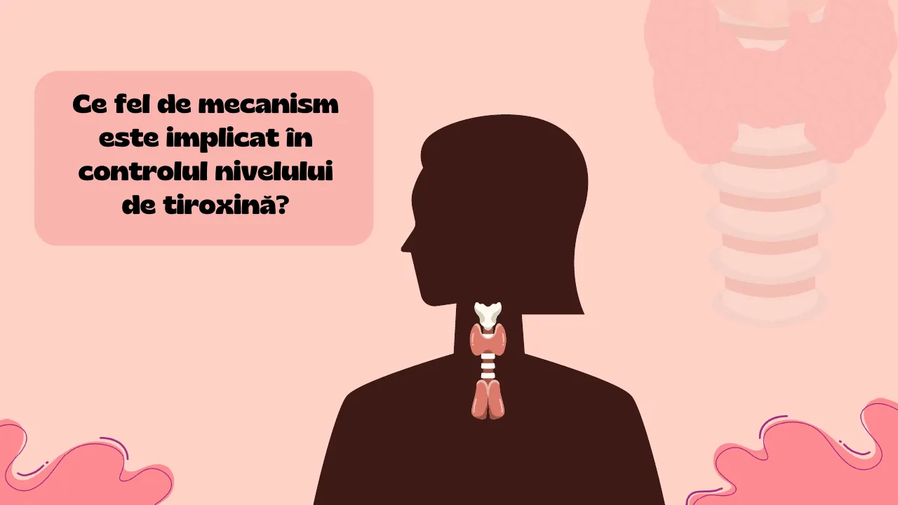 Slide 25 din capitolul 4