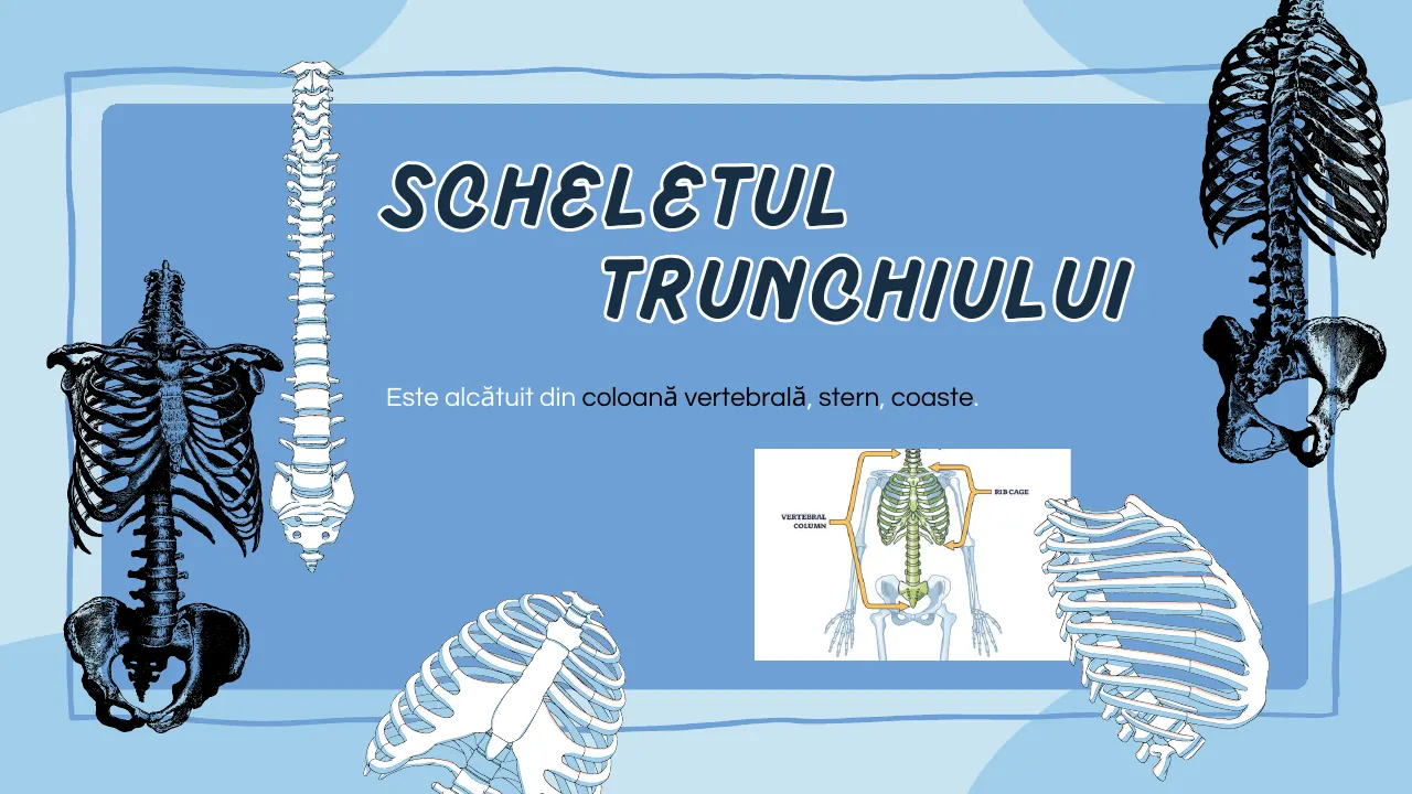 Slide 8 din capitolul 6–7