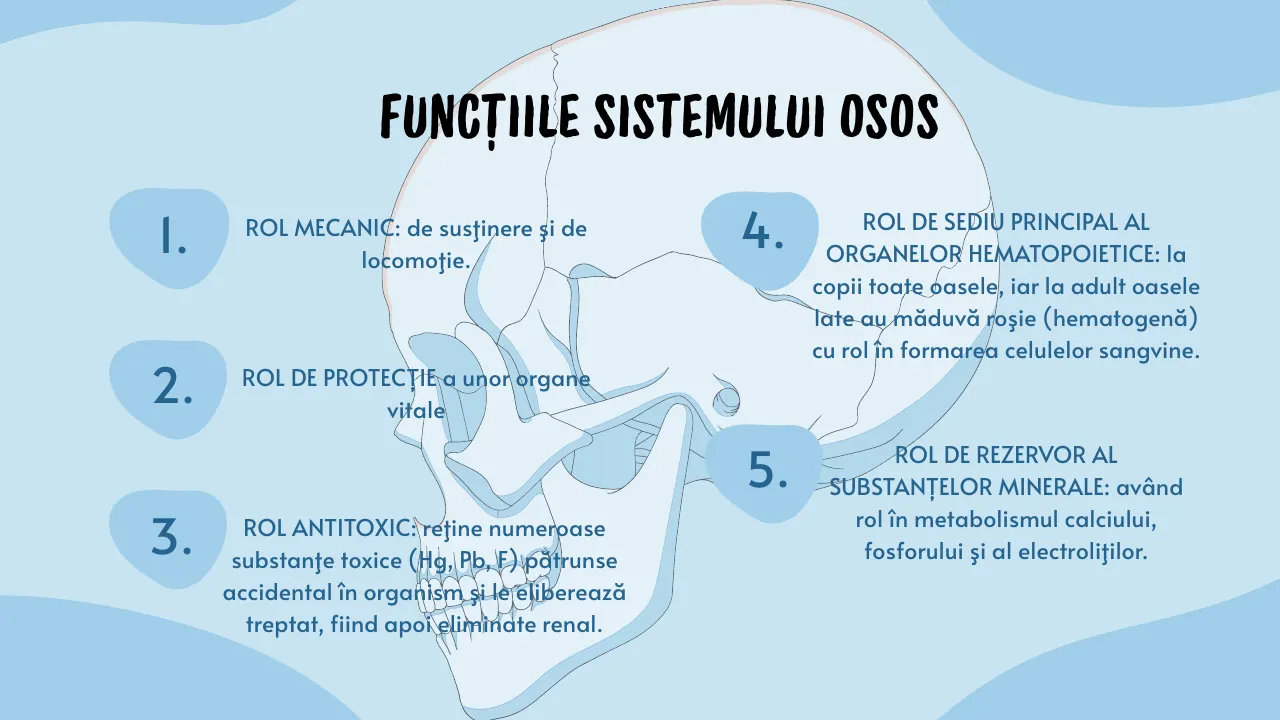 Slide 18 din capitolul 6–7