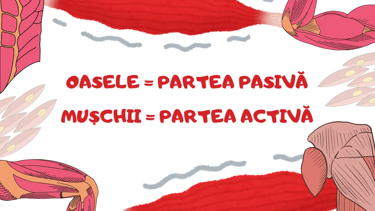 Slide 39 din capitolul 6–7