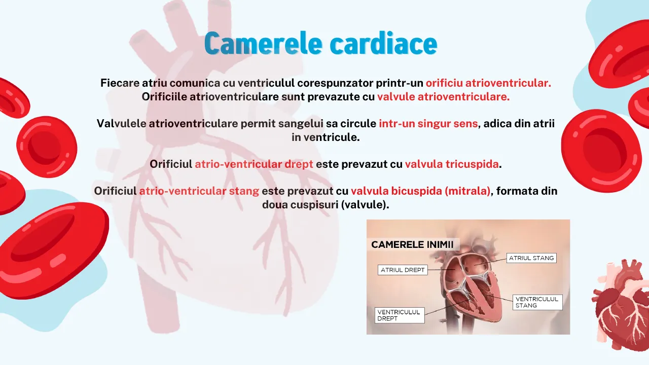 Slide 5 din capitolul 8