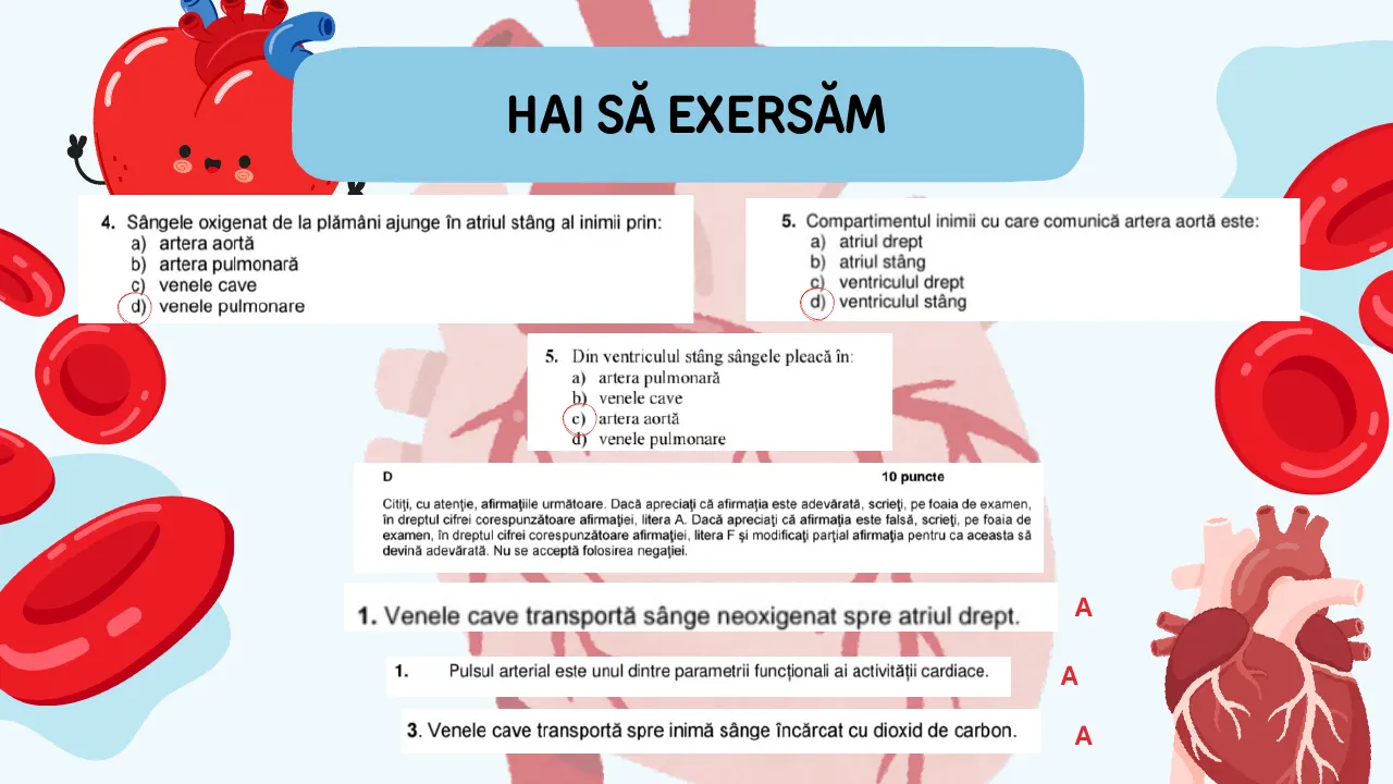 Slide 28 din capitolul 8