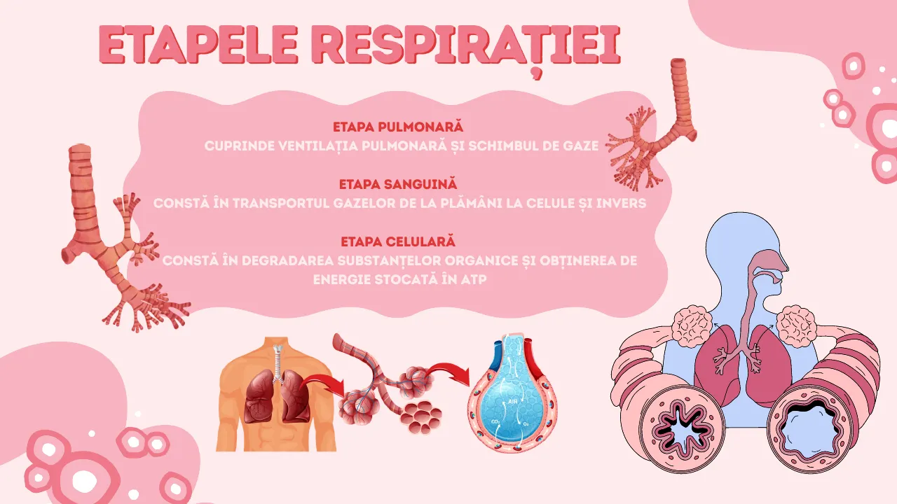 Slide 5 din capitolul 9