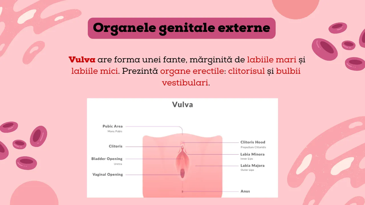 Slide 18 din capitolul 10–11